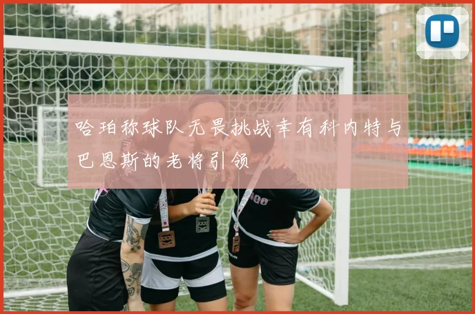 哈珀称球队无畏挑战幸有科内特与巴恩斯的老将引领